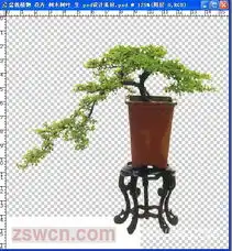 盆栽植物花卉树木树叶生psd设计素材