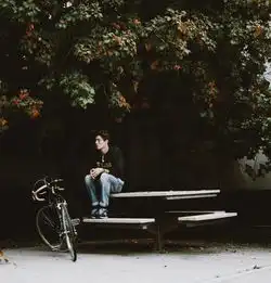 美高留学生孤军奋战史在嘲笑责难和爱中前行......