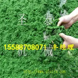 广州哪有卖猪饲料打浆机的青草粉碎打浆机多少钱-黄页88网
