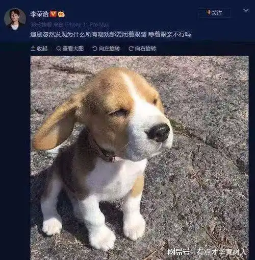 杨丞琳晒李荣浩与柴犬对比图,你知道谁是李荣浩最大的黑粉了吗