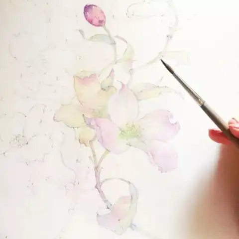50张仙女水彩画家超美水彩花卉送你,文末附过程图哦