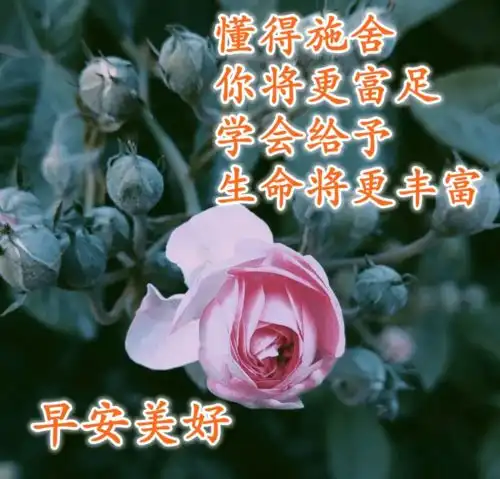 11月1日微信早安问候语早安问候语图片加文字最漂亮的早上问候语图片表情祝福