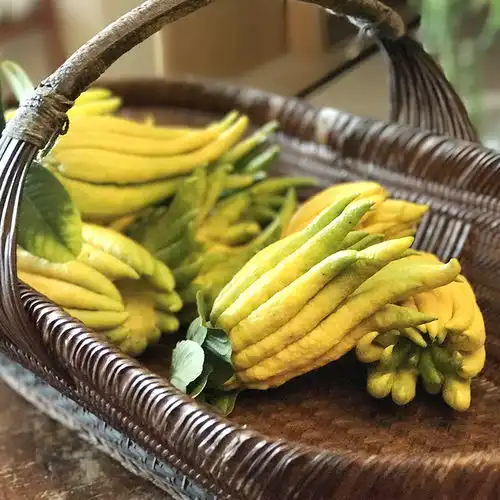 各省特色美食华山论剑,南方水果实力强大,东北最牛