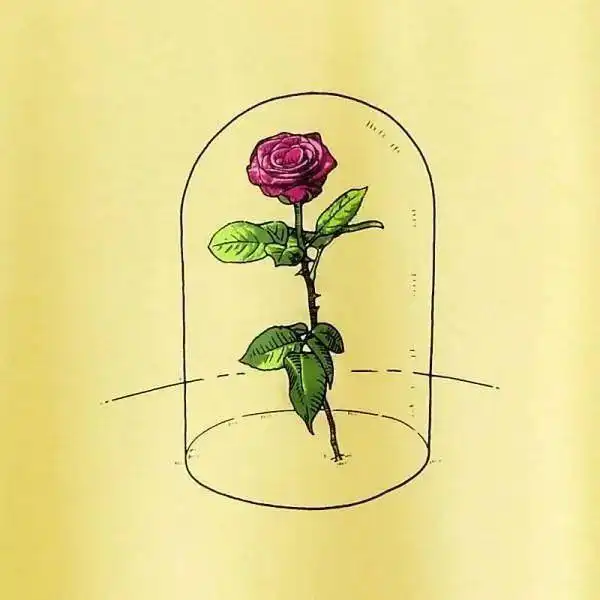 剧心引力丨小王子2
