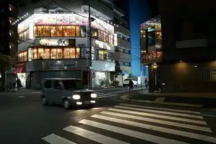 又见霓虹1月偶遇樱花乌鸦满天的东京不太热的热海充满遗憾的名古屋