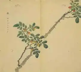 细井徇诗经名物图解典雅诗句中的花草树木