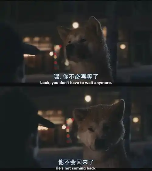 电影经典台词,句句戳中你