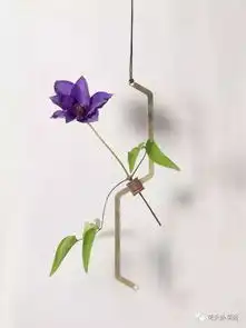 不走寻常路的家居装饰花器