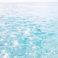 唯美小清新qq头像图片,生活中有太多的美好