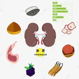 补肾滋阴补阳中医食疗素材图片免费下载千库网