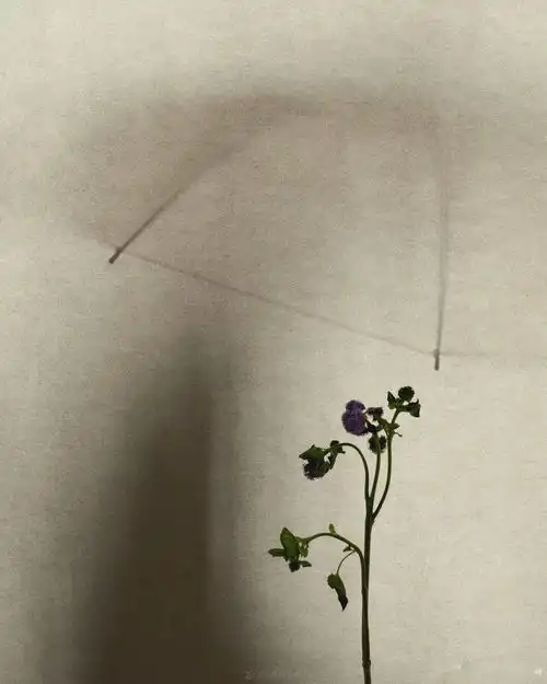 要我说,这是女摄影师自拍的天花板