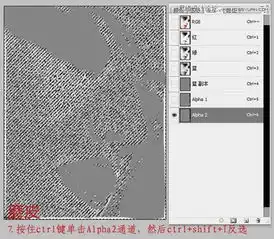 photoshop调出广告人物肖像时尚大片效果