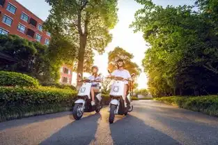 看了这篇,我不信你还不知道爱玛和雅迪怎么选