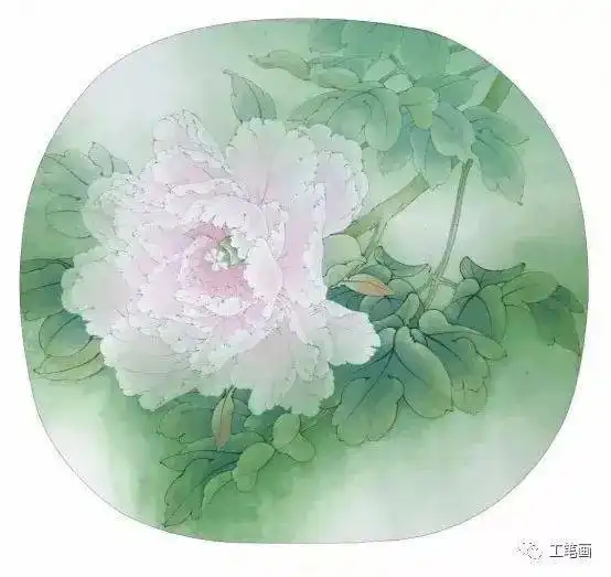 图文教程牡丹孩儿面设色步骤,详细易学