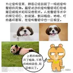 什么韩国丧心病狂的整容术竟然用在宠物身上.....