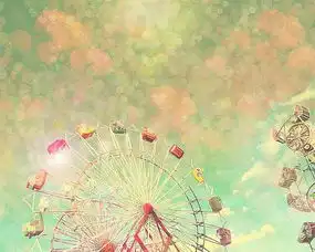 我们在摩天轮上共同见证这座城市的衰与盛