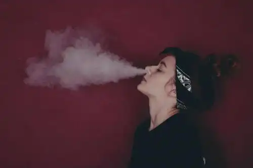 抢占hnb技术前沿赛道博迪icore2.0发热体再引热潮