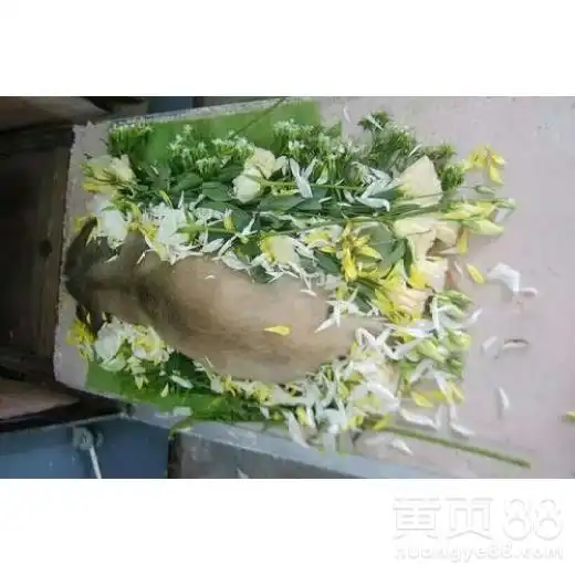德阳市宠物狗死亡处理哪里有做宠物殡葬公司-黄页88网