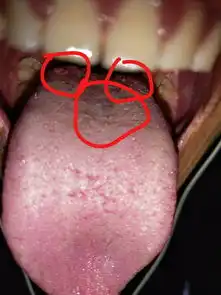 测试一个超长简介的文章