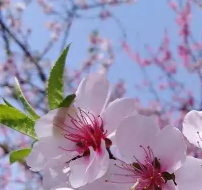 测试一个超长简介的文章