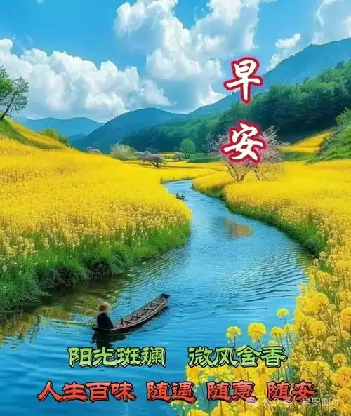 2024年3月7日特别漂亮的早安图片,最新有品位的早安问候图片,早安高雅图片