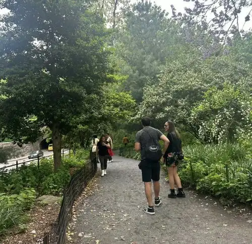 凤姐在纽约中央公园出没,低头玩手机不理人,身材臃肿像怀胎八月