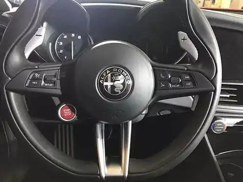 尝过四叶草,你会爱上朱丽叶