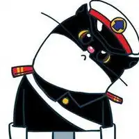 白底黑猫图片微信头像图片大全