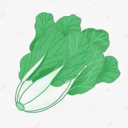 美食蔬菜白菜卡通素材图片免费下载千库网