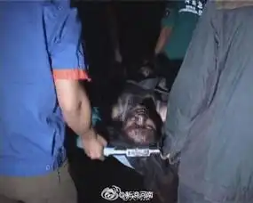 郑州又见电动车充电起火致3人殒命