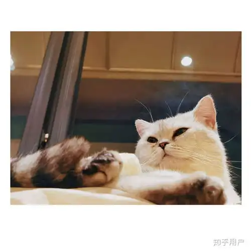我现在高一,得了重度抑郁症,还有希望吗,我该怎么办