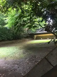 东京游记