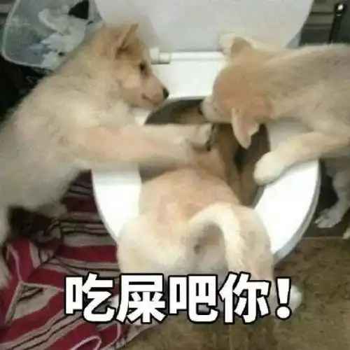 养狗人最讨厌听到的十句话