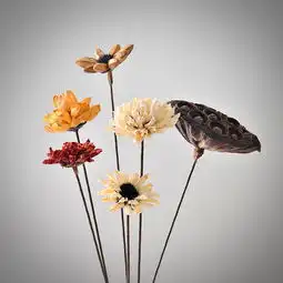 给她365天花开满屋,她会爱上你