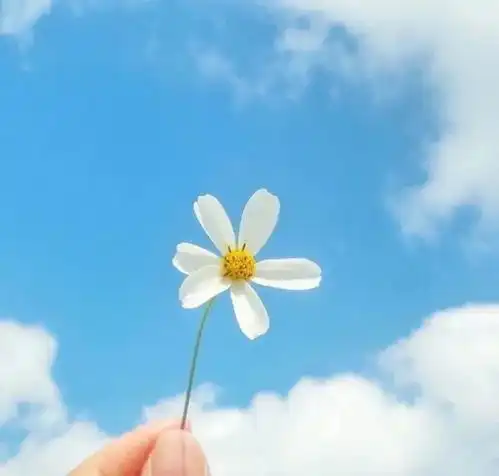 人人点赞的人生哲理文案