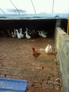 看看这是啥啊呵呵