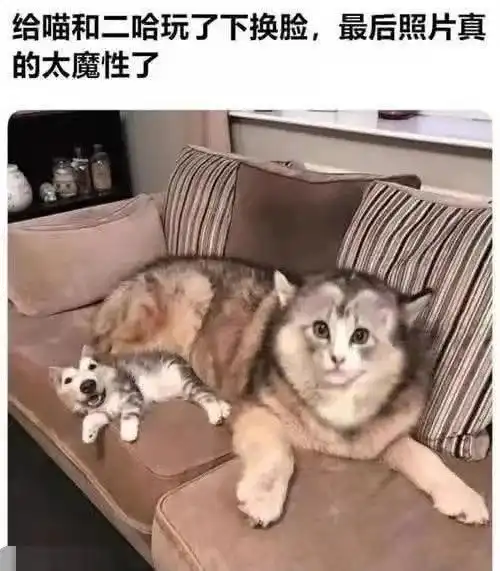 开心一刻我高中有个学长平时也就考十几名,高考时却考上北大