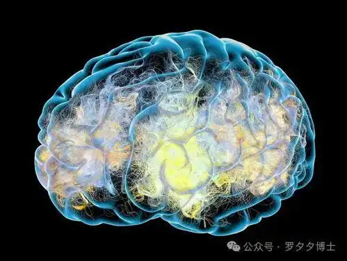 退休后如何预防老年痴呆深度思考,减缓大脑老化速度