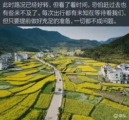 3c在路上驾驶吉利新远景suv赏婺源油菜花开