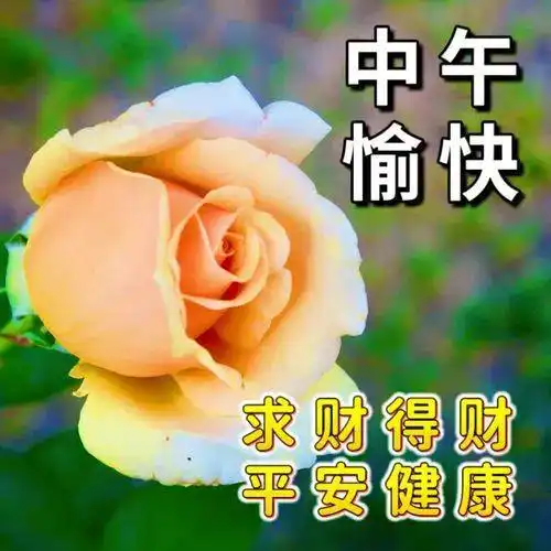 中午好图片大全,中午好祝福,午安问候,快乐常伴