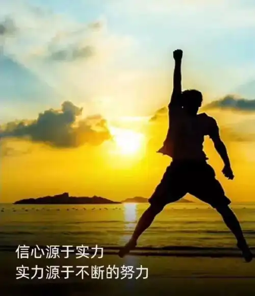 致追梦人语录信心源于实力,实力源于不断的努力