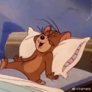 头像猫和老鼠杰瑞睡觉