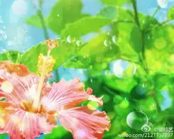 7ed298d1jw1djcbv97xtpj