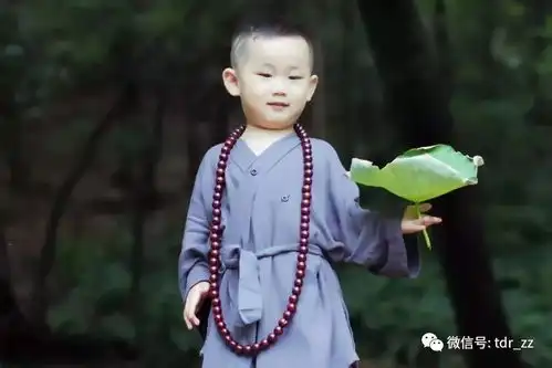 卷首咏落叶