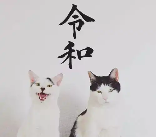 你见过哪些比我孙子一二三鸭脚还奇葩的日本姓氏