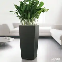 天津市绿植租摆网鲜花绿植销售