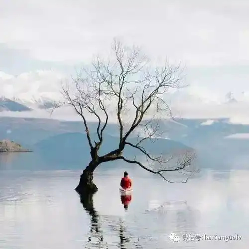 旅行拍照不露脸,居然还能这么美