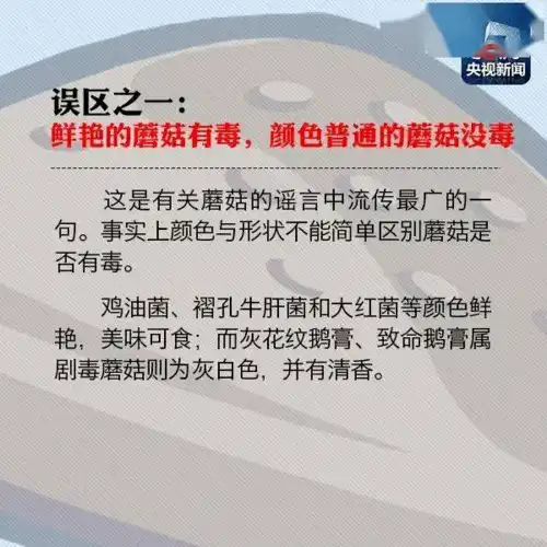 梧州连续出现3起食用野生蘑菇中毒事件