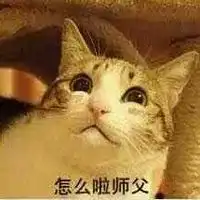 仓鼠系列师父父表情包微信头像图片大全