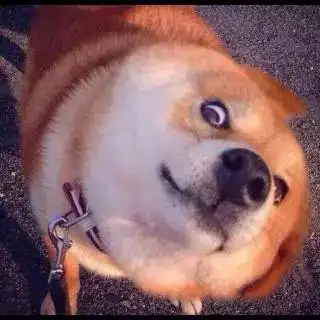 你们是对体育工作者有什么误解吧